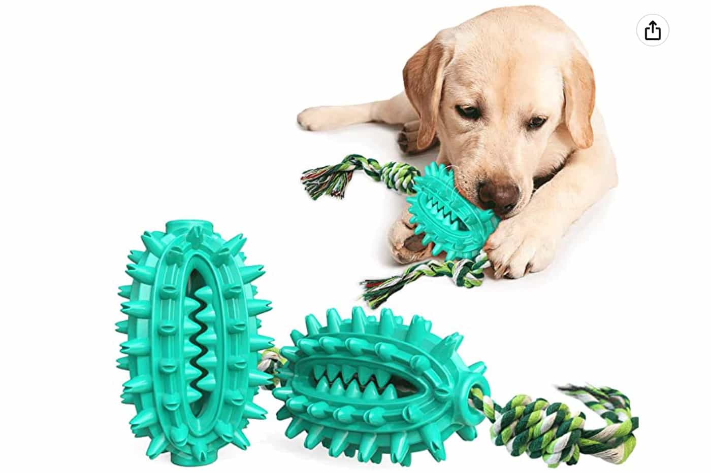 Acessórios para cães baratos - escova de dentes em brinquedo para cão