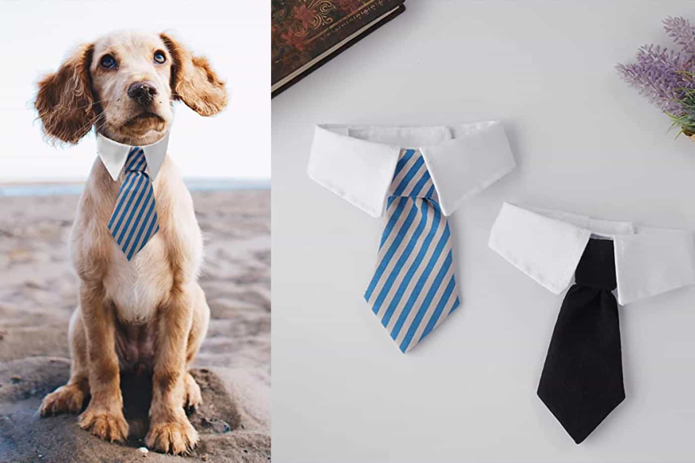 Acessórios para cachorros, gravata para o cão